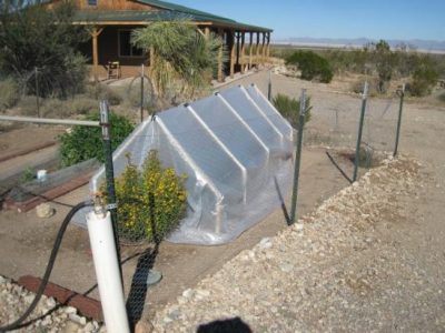 row of plants underneath a mini greenhouse made of pvc pipe and plastic sheeting